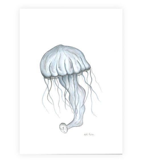 Et kunstværk af en vandmand i gråblå farver med et menneskeligt ansigt, der hænger som en forlænger af dens krop. Vandmanden svæver i et hvidt, tomt rum.