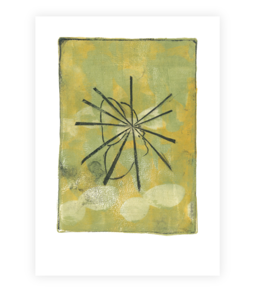 Transformationens vinger