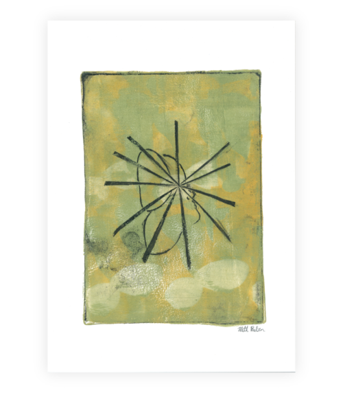 Transformationens vinger