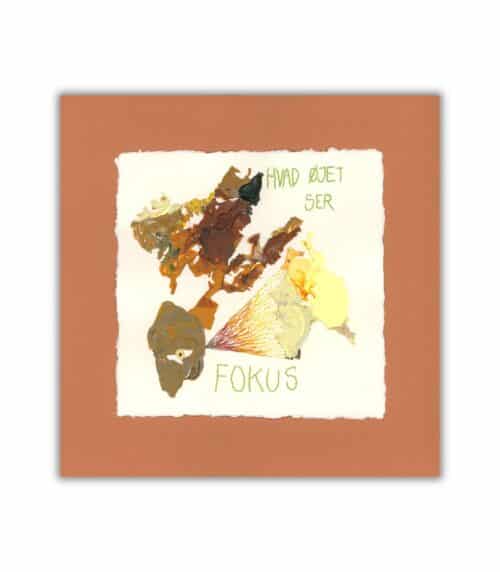 Hvad øjet ser - fokus